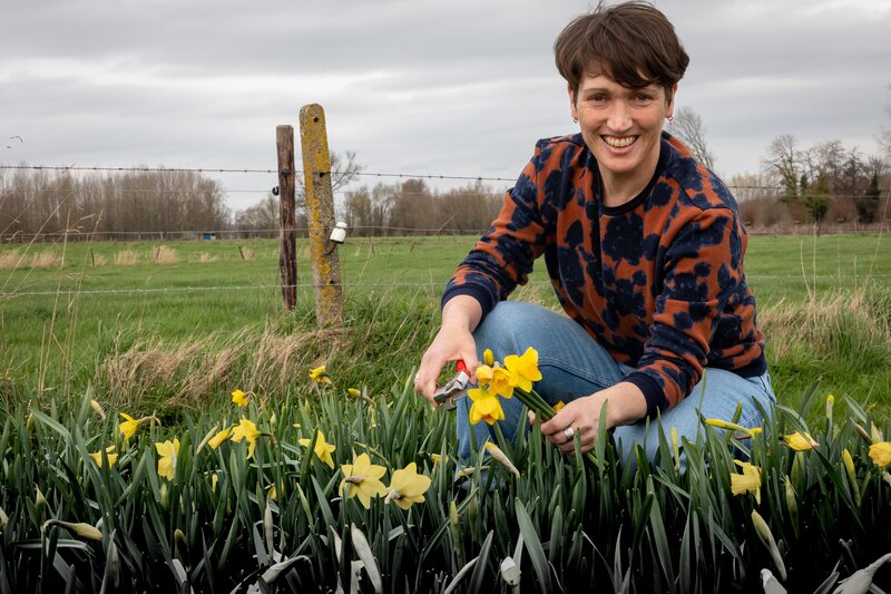 Lokaal geteelde bloemen in Tille's pluktuin. 