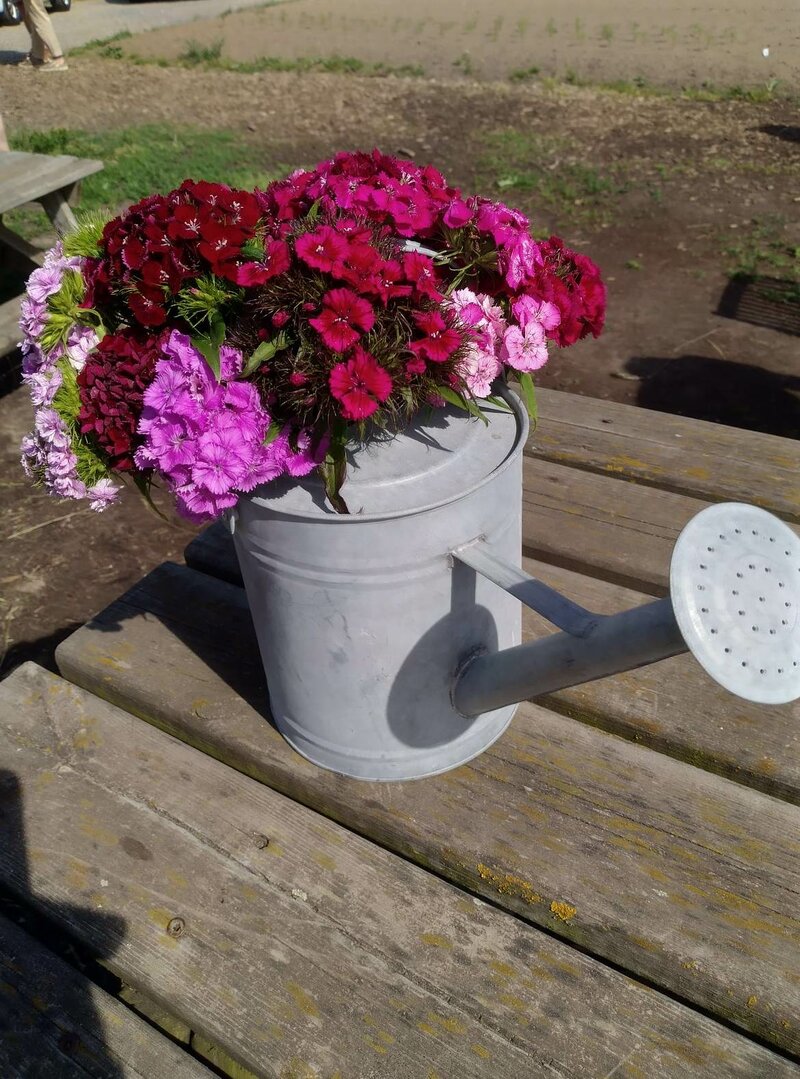 Zelfplukboeket lente