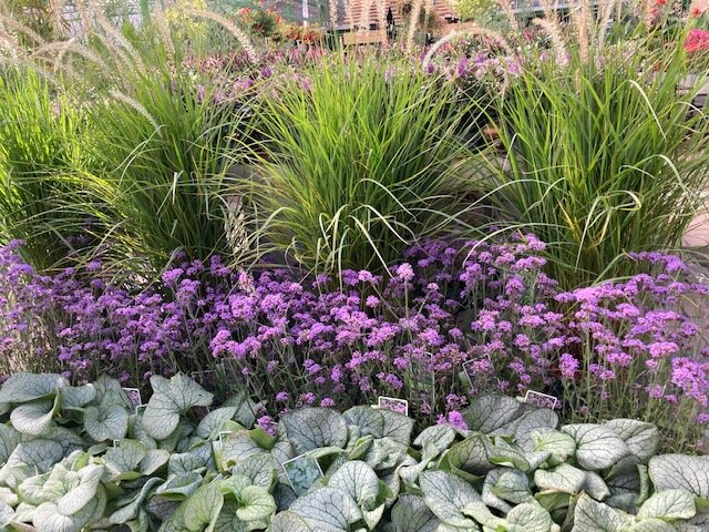 ruime keuze plantencombinaties