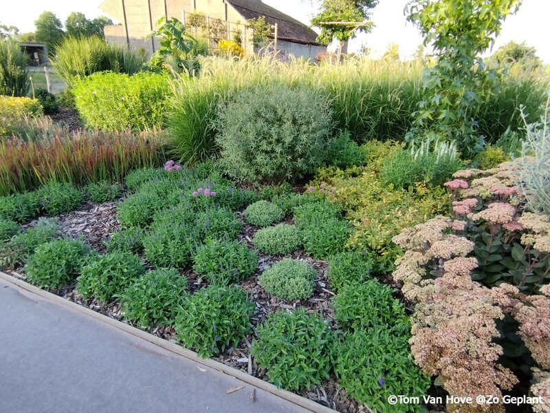 Dé levende inspiratiezone voor elke tuin- en plantenliefhebber: onze demonstratietuin te Kruishoutem - te bezoeken op afspraak