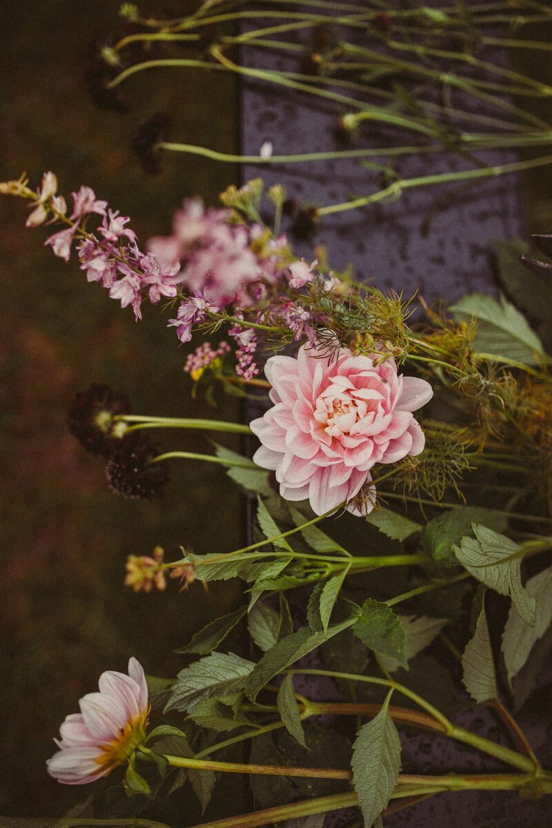 Lokale bloemen zelfgekweekt in het Pajottenland 