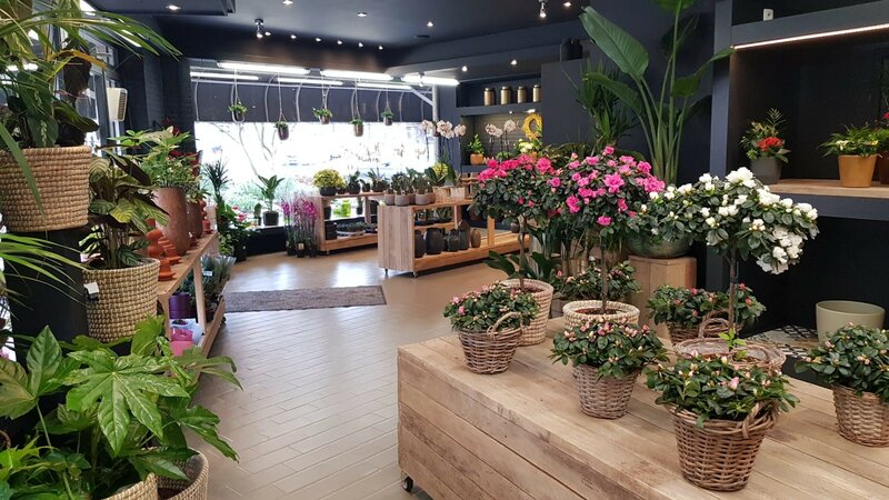 Bloemen- en plantenwinkel in Ekeren